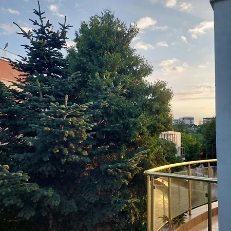 Bo's Place Hotell 3*